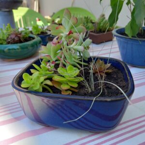 Pot bleu plantes extérieur (JA-1236)