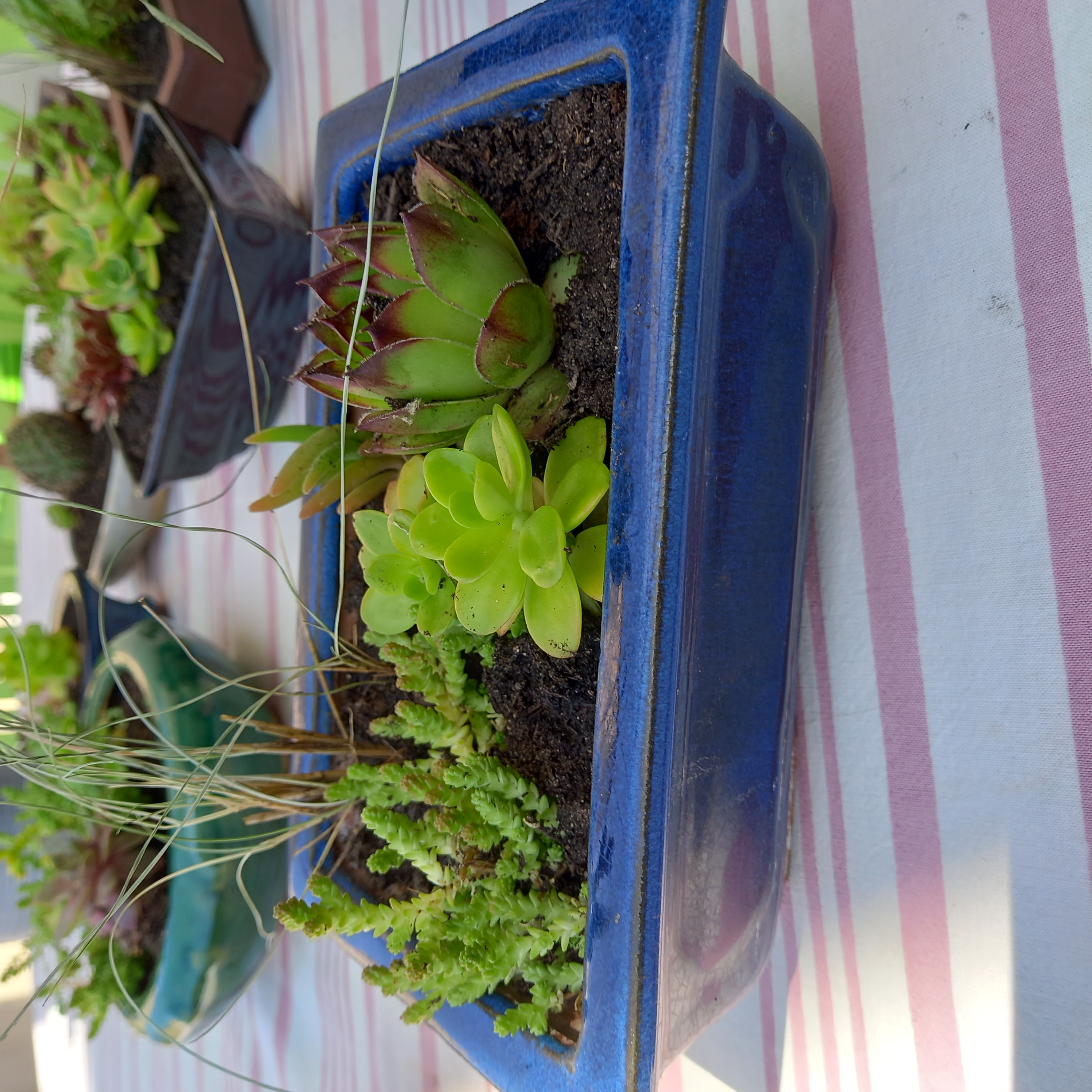 Pot bleu plantes extérieur (JA-1237)