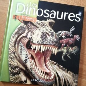 Livre "Les dinosaures" (FO-1471)