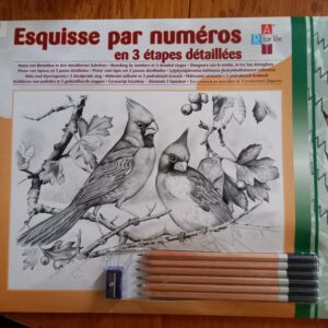 Kit esquisse  30x40cm (JO-1685)